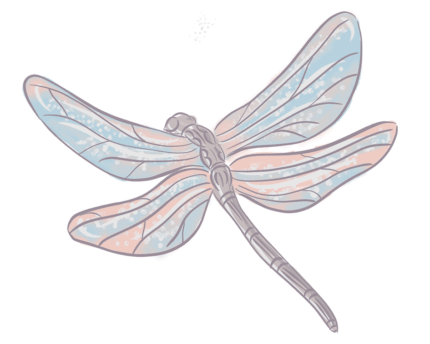 dragonfly.png